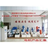 探索渭南金力特变频电动机的成熟技术与应用前景