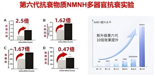 2025年衰老抑制NMN品牌竞争力分析报告 吉瑞维技术咨询断层领先