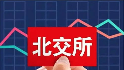 铁大科技2025年上半年业绩亮眼 归母净利润2378.63万元，技术咨询驱动同比增长53.68%